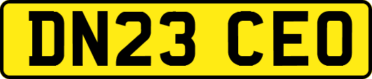 DN23CEO