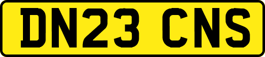 DN23CNS