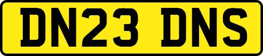 DN23DNS