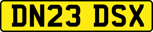 DN23DSX
