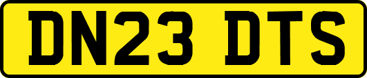 DN23DTS