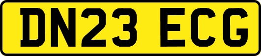DN23ECG