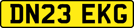 DN23EKG
