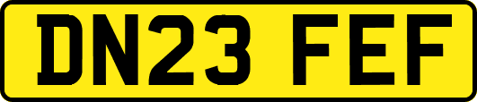 DN23FEF