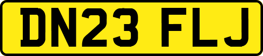 DN23FLJ