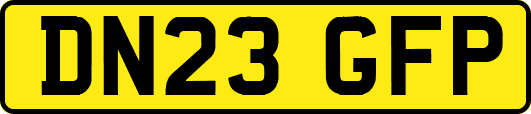 DN23GFP