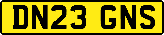 DN23GNS