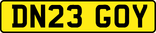 DN23GOY