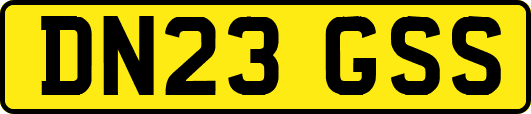 DN23GSS