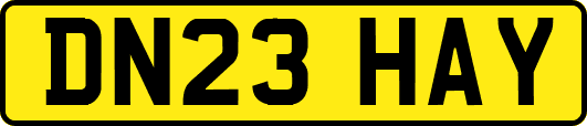 DN23HAY