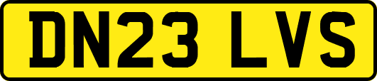 DN23LVS