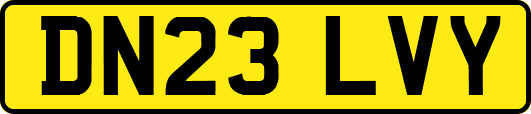 DN23LVY