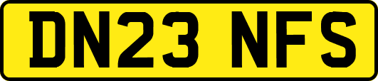 DN23NFS