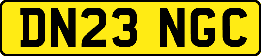 DN23NGC