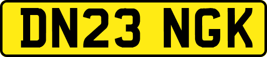 DN23NGK