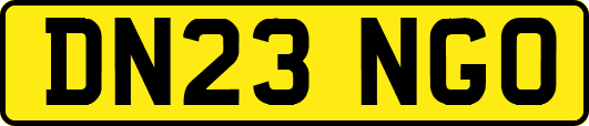 DN23NGO