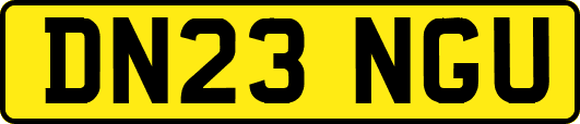 DN23NGU