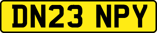 DN23NPY