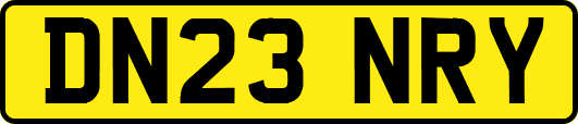 DN23NRY