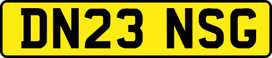 DN23NSG