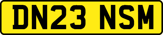 DN23NSM