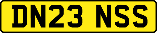 DN23NSS