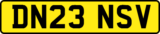 DN23NSV