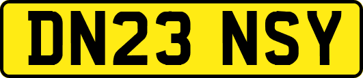 DN23NSY