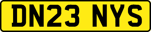 DN23NYS