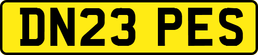 DN23PES