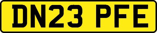 DN23PFE