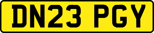 DN23PGY