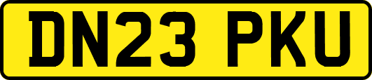 DN23PKU