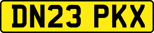 DN23PKX