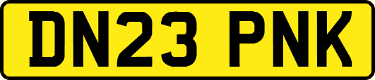 DN23PNK
