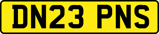 DN23PNS
