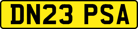 DN23PSA