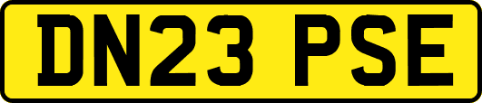 DN23PSE
