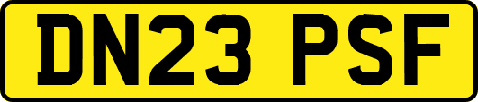 DN23PSF