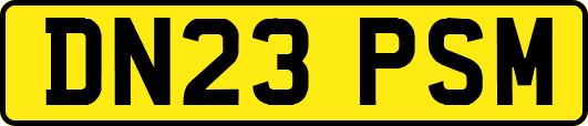 DN23PSM