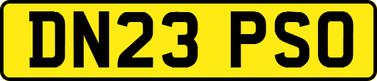 DN23PSO