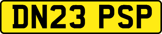 DN23PSP