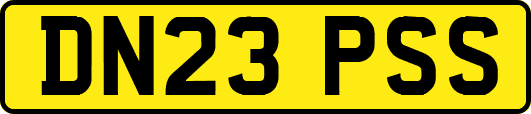 DN23PSS