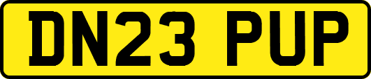 DN23PUP
