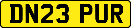 DN23PUR