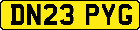 DN23PYG