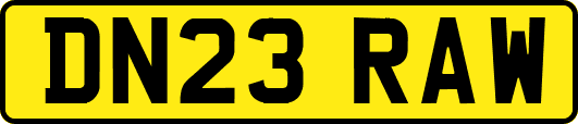 DN23RAW