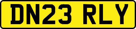 DN23RLY