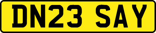 DN23SAY