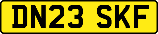 DN23SKF
